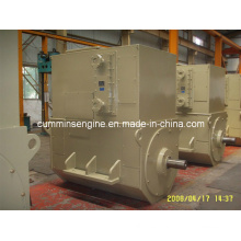 AC Sychronous Brushless Alternadores (4503-6 450kw)